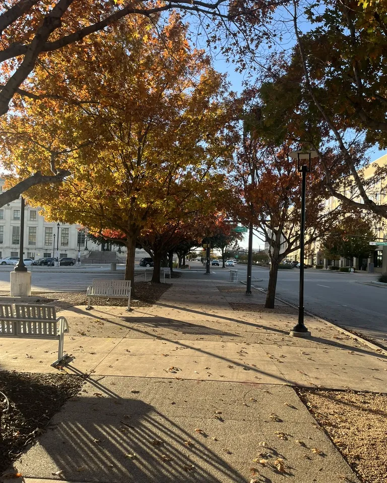 A tree-lined street in Fort Worth in autumn
